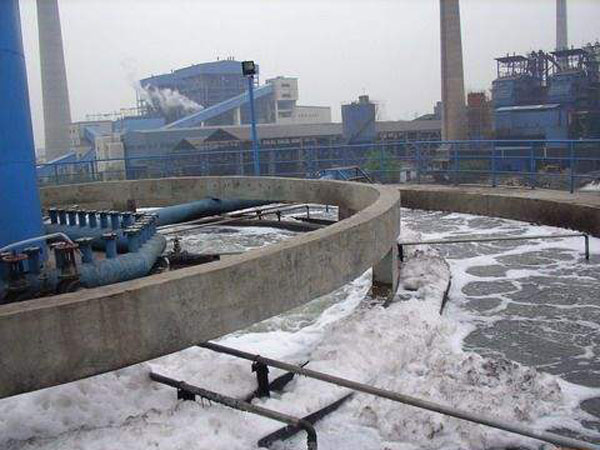 �ۺ��Ȼ��X�F�͑��F��