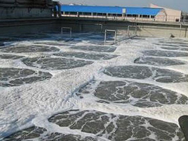 늏Sˮ̎�������F��